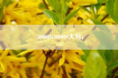 300009(300009大写)