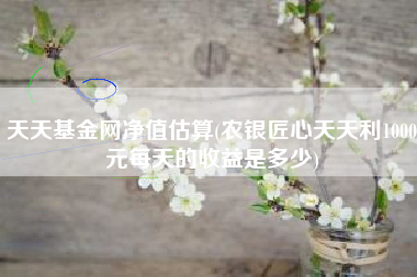 天天基金网净值估算(农银匠心天天利1000元每天的收益是多少)