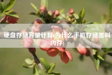 硬盘存储容量计算(为什么手机存储器叫内存)