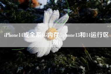 iPhone14或全系6G内存(iphone13和14运行区别)