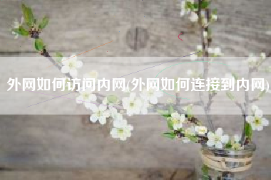 外网如何访问内网(外网如何连接到内网)