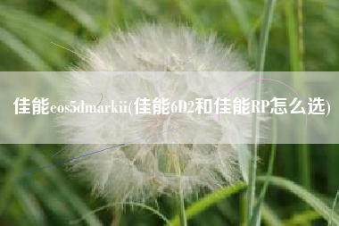 佳能eos5dmarkii(佳能6D2和佳能RP怎么选)