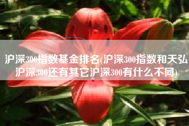 沪深300指数基金排名(沪深300指数和天弘沪深300还有其它沪深300有什么不同)