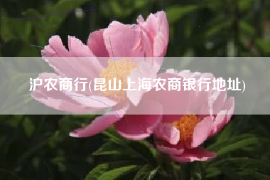 沪农商行(昆山上海农商银行地址)