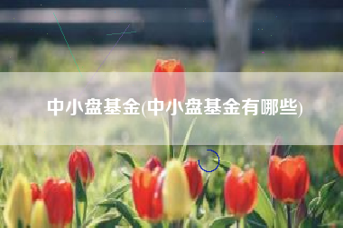 中小盘基金(中小盘基金有哪些)