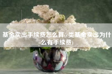 基金卖出手续费怎么算(c类基金卖出为什么有手续费)