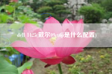 dell 1425(戴尔09ct6p是什么配置)