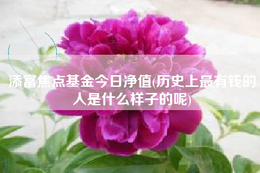 添富焦点基金今日净值(历史上最有钱的人是什么样子的呢)