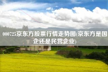 000725京东方股票行情走势图(京东方是国企还是民营企业)