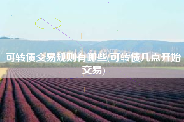 可转债交易规则有哪些(可转债几点开始交易)