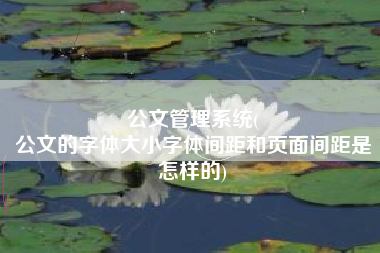 公文管理系统(
公文的字体大小字体间距和页面间距是怎样的) 公文管理系统(
公文的字体大小字体间距和页面间距是怎样的)