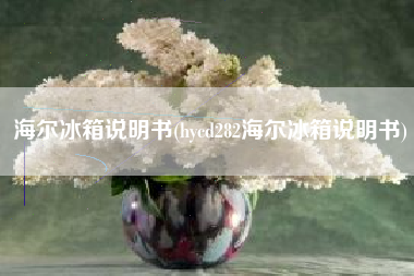 海尔冰箱说明书(hycd282海尔冰箱说明书)