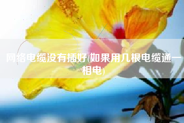 网络电缆没有插好(如果用几根电缆通一相电)