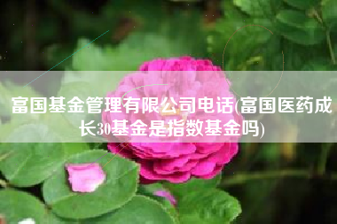 富国基金管理有限公司电话(富国医药成长30基金是指数基金吗)