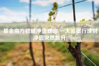 基金南方稳健净值查询(一大波银行理财净值突然跳升)
