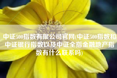 中证500指数有限公司官网(中证500指数和中证银行指数以及中证全指金融地产指数有什么联系吗)