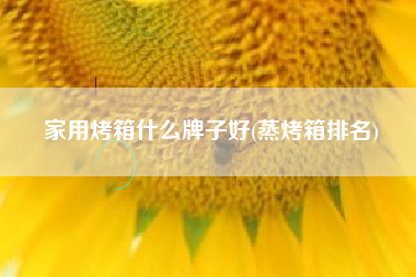 家用烤箱什么牌子好(蒸烤箱排名)