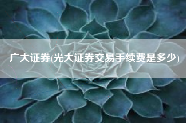 广大证券(光大证券交易手续费是多少)