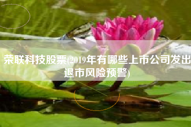 荣联科技股票(2019年有哪些上市公司发出退市风险预警)