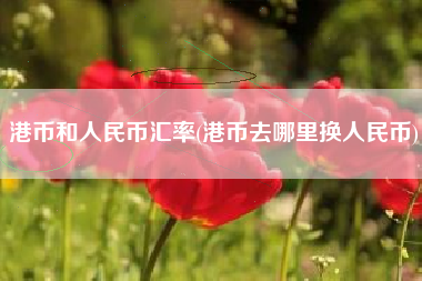 港币和人民币汇率(港币去哪里换人民币)
