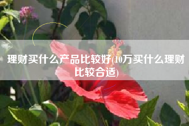 理财买什么产品比较好(10万买什么理财比较合适)