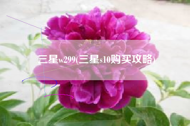 三星w299(三星s10购买攻略)