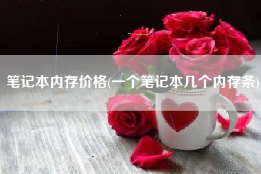 笔记本内存价格(一个笔记本几个内存条)