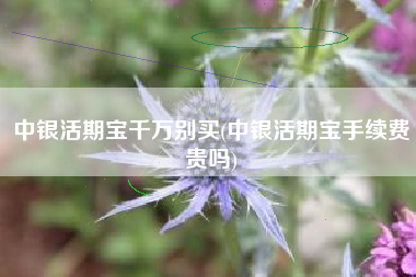 中银活期宝千万别买(中银活期宝手续费贵吗)