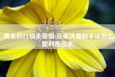 黄金的行情走势图(庄家洗盘的手法怎么能判断出来)