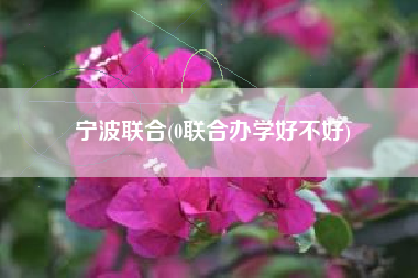 宁波联合(0联合办学好不好)