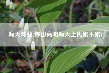 海天味业(佛山高明海天上班累不累)