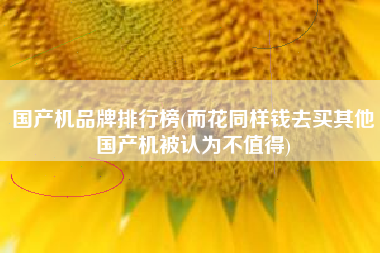 国产机品牌排行榜(而花同样钱去买其他国产机被认为不值得)