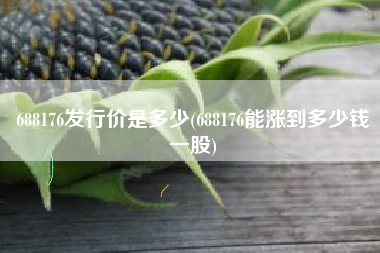 688176发行价是多少(688176能涨到多少钱一股)
