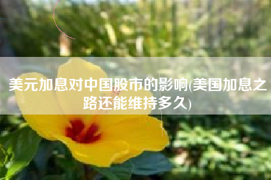 美元加息对中国股市的影响(美国加息之路还能维持多久)