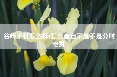 谷峰手机怎么样(怎么查自家是不是分时电费)