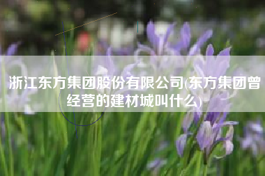 浙江东方集团股份有限公司(东方集团曾经营的建材城叫什么)