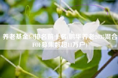 养老基金fof排名前十名(鹏华养老2035混合FOF募集数超11万户)
