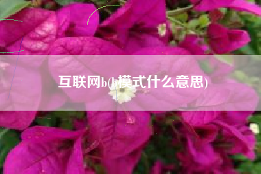 互联网b(b模式什么意思)