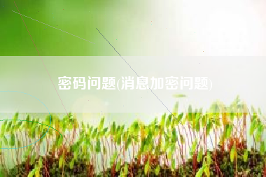 密码问题(消息加密问题)