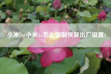 小米5x(小米5x怎么强制恢复出厂设置)