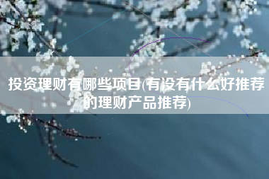 投资理财有哪些项目(有没有什么好推荐的理财产品推荐)