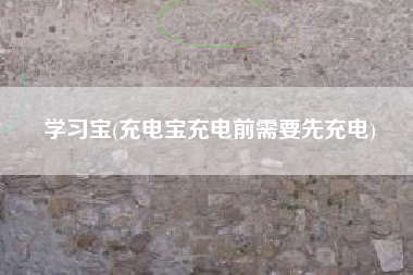 学习宝(充电宝充电前需要先充电)