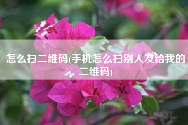 怎么扫二维码(手机怎么扫别人发给我的二维码)