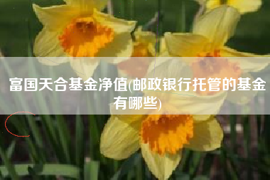 富国天合基金净值(邮政银行托管的基金有哪些)