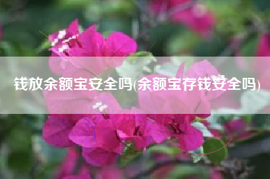 钱放余额宝安全吗(余额宝存钱安全吗)