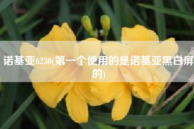 诺基亚6230(第一个使用的是诺基亚黑白屏的)