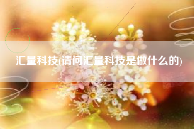 汇量科技(请问汇量科技是做什么的)