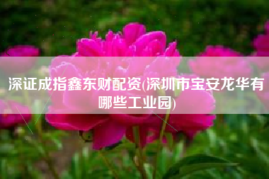 深证成指鑫东财配资(深圳市宝安龙华有哪些工业园)