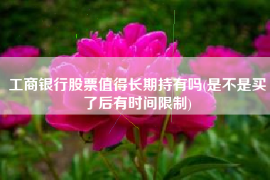 工商银行股票值得长期持有吗(是不是买了后有时间限制)