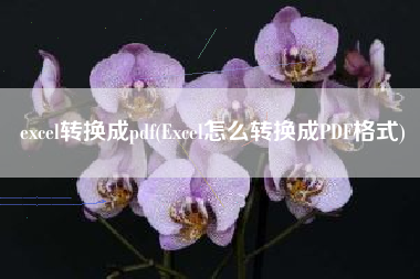 excel转换成pdf(Excel怎么转换成PDF格式)